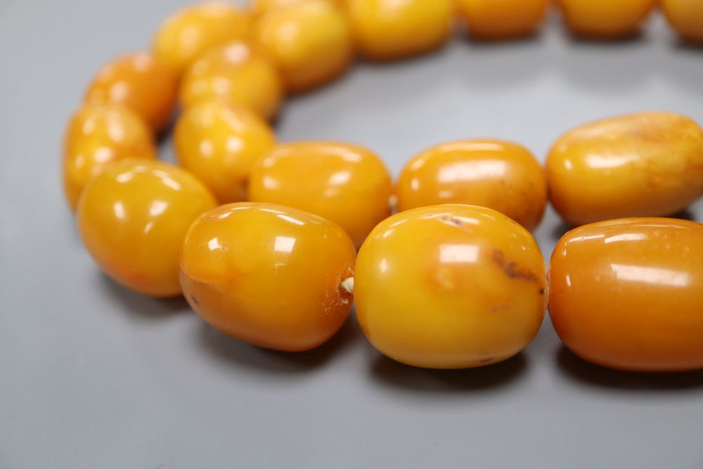 A single strand oval amber bead necklace, 74cm, gross weight 128 grams,